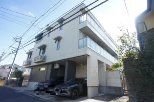 アドニス柏の画像