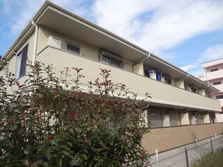 ソレアードの画像