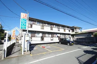 シャンテ黒髪の画像