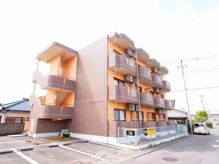 ファーストコートの画像