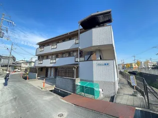 ステラ幾野の画像