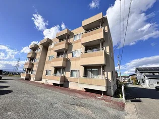 コートMの画像