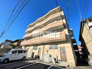 サン花水木の画像