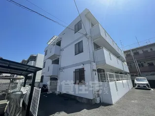 ニューアケディアの画像