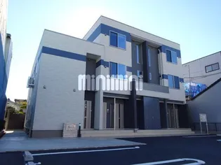 マーガレットブルーの画像