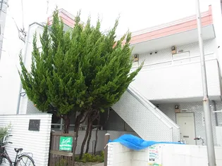 パストラル奥沢【1階】の外観