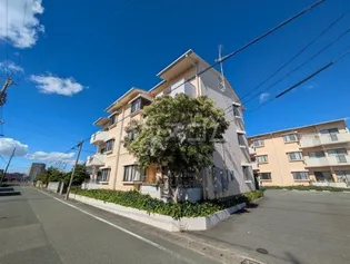 向島マンションB【3階】の外観