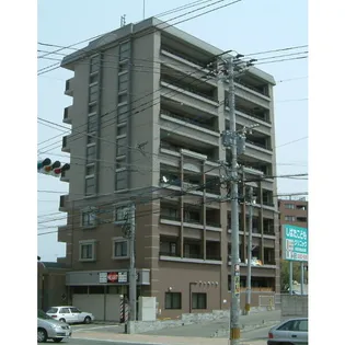 TSコアラの画像