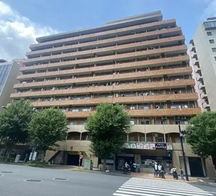 永谷リヴュール新宿【11階】の外観