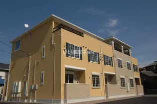 プルメリアの画像