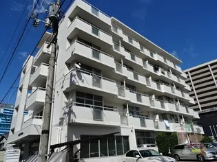 シャトレーしょうこうの画像