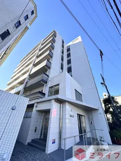 ダイレ エヌの画像