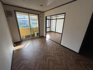 パインコーンの画像