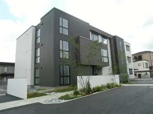 シャーリーズの画像