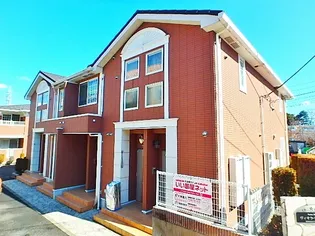 ヴィオラ マードレの画像