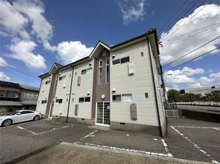マーセルヨコガワの画像
