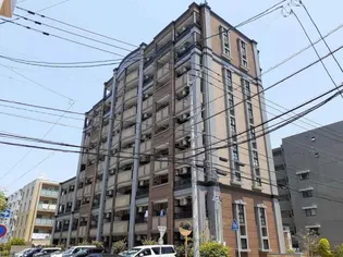 シャロームミキの画像