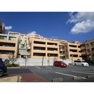 東急ドエル・横浜ヒルサイドガーデン参番館【14階】の外観