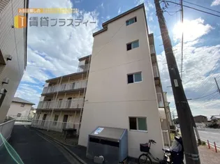 メゾン明星の画像