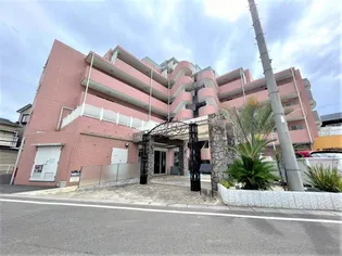 POMME D'AMOURの画像