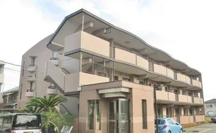 エトワールドール中田南の画像