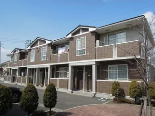 ソール オリエンス Cの画像