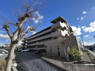 ヒルズ小名川WING αの画像