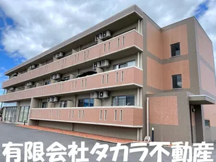 けやきの画像