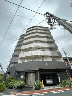 アルテシモヴィータの画像