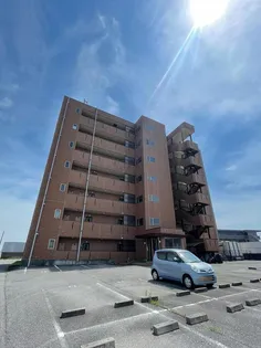 ベルホーク YOHTOの画像