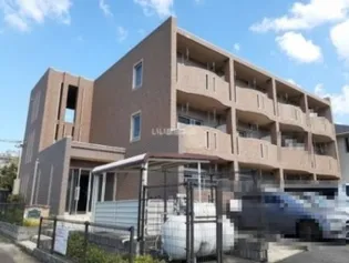 ナリッシュの画像