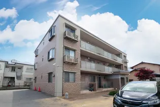 ステラヴァンの画像