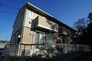 PETI NATUREの画像