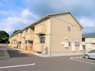 なでしこの画像
