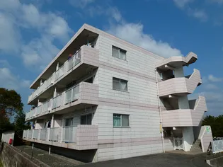 ビバライフ若山の画像