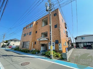 カーサーフサノウの画像