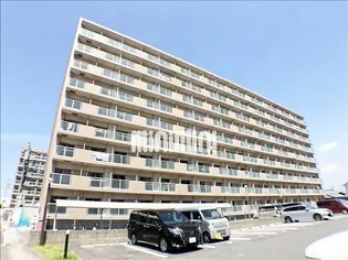 ラフィネ多屋III【5階】の外観