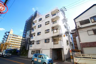 大阪府大阪市平野区加美正覚寺4【マンション】の外観