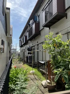 峯岸パナハイツの画像