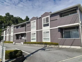 ラヴィーヌの画像