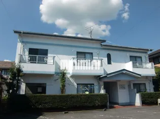 アーバンタミーの画像