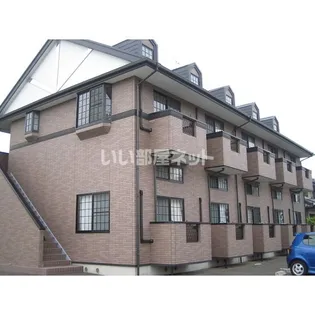 アイボリーの画像