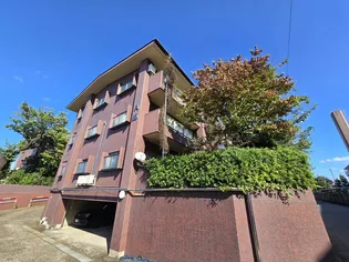 サンハイツ白鷺Aの画像