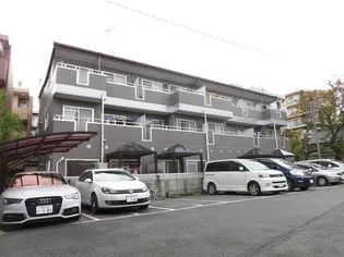 チェリーコートの画像