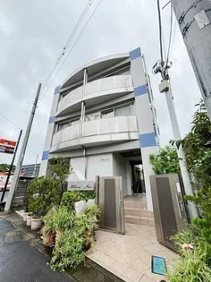 マーサジュンの画像