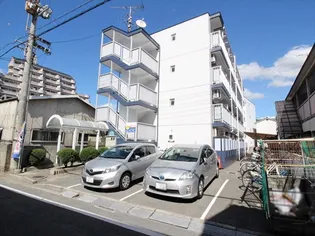 ハイジュネスの画像