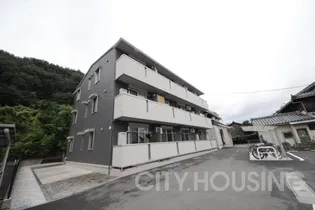 アイリスの画像