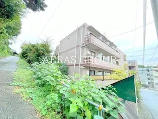 カサデシライIの画像