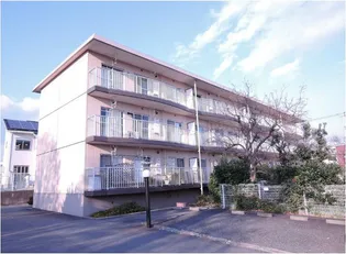 ヒルズ白根の画像