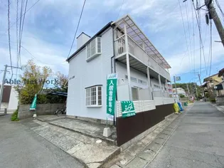 ソフィー黒髪の画像